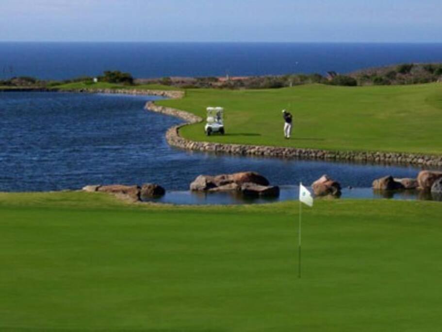 Stunning Views In Bajamar Ocean Golf And Resort Ensenada Bagian luar foto